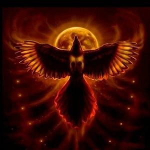 Meet your Posher, Maya